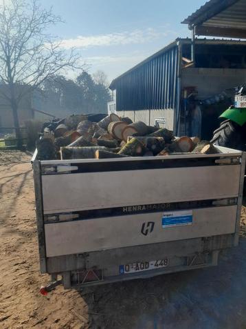 Hardhout geleverd  beschikbaar voor biedingen