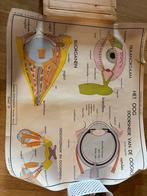 Oude schoolkaart, Antiek en Kunst, Ophalen, Overige thema's