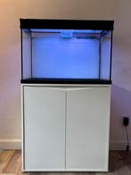Aquarium 180L + kast, Dieren en Toebehoren, Vissen | Aquaria en Toebehoren, Ophalen, Gebruikt, Leeg aquarium