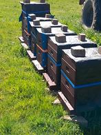 Duits normaal bijenvolken te koop (alles al gereserveerd), Dieren en Toebehoren