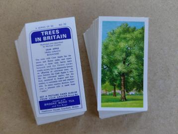 Trees in Britain complete set 50 chromos bomen 1966 beschikbaar voor biedingen