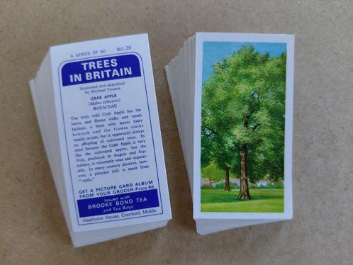 Trees in Britain complete set 50 chromos bomen 1966, Verzamelen, Foto's en Prenten, Natuur, 1960 tot 1980, Ophalen of Verzenden
