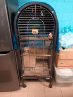 Vogelkooi, Enlèvement, Cage à oiseaux