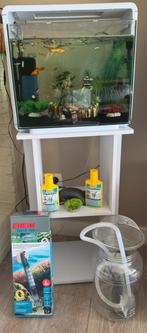 Aquarium met vissen en toebehoren, Dieren en Toebehoren, Ophalen, Gebruikt