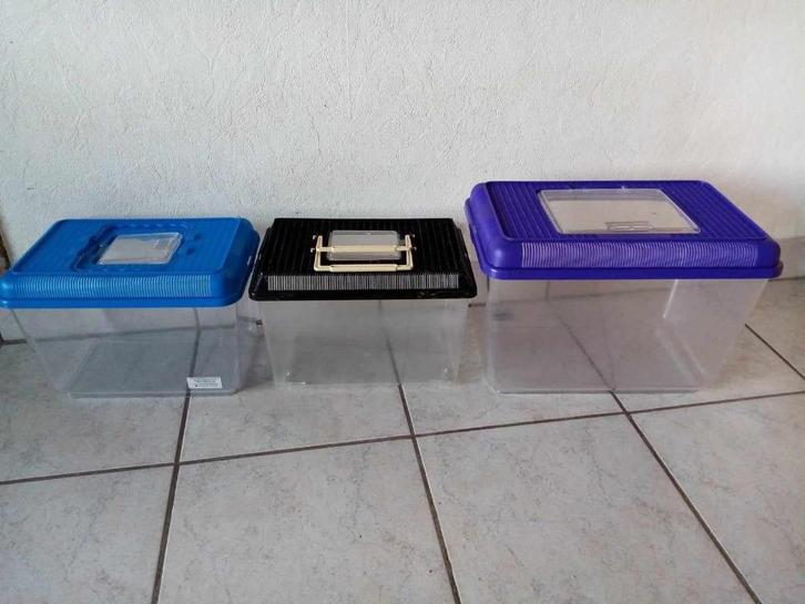 Draagbaar aquarium/terrarium, Dieren en Toebehoren, Overige Dieren-accessoires, Gebruikt, Ophalen