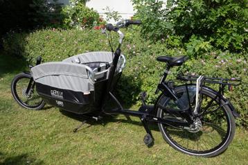 Gazelle Cabby bakfiets (2019) beschikbaar voor biedingen