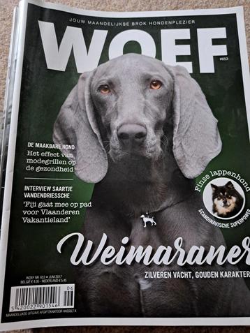 Woef magazine  beschikbaar voor biedingen