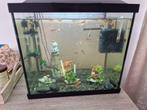 aquarium 50 liter met toebehoren, Gebruikt, Ophalen