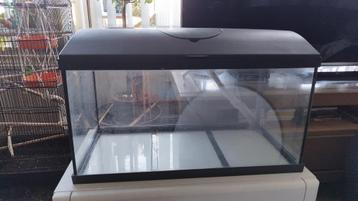 aquqrium, terrarium + internal filter beschikbaar voor biedingen