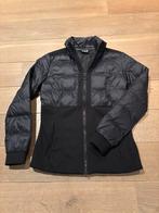 Emporio Armani skijas / Skivest M, Kleding | Dames, Jassen | Winter, Ophalen of Verzenden, Zo goed als nieuw