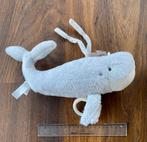 Muziekhanger baby walvis, Enlèvement