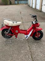 honda cf50, Enlèvement