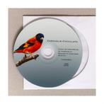 Kapotsensijs zang CD., Meerdere dieren, Geringd, Tropenvogel