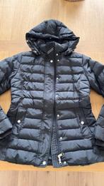 Winterjas Tommy Hilfiger, Ophalen, Tommy hilfiger, Zwart, Zo goed als nieuw