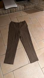 Winterbroek river woods maat 36, Ophalen of Verzenden, Zo goed als nieuw, Maat 36 (S)