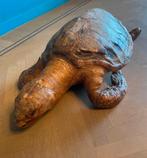 Grote Oude Opgezette Schildpad L 73 CM Te Koop Intermassa BV, Enlèvement