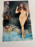 Poster Brigitte Bardot 33 x 50 cm, Enlèvement ou Envoi, Utilisé, Cinéma et TV