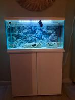 Aquarium 120L complet + meuble, Comme neuf, Aquarium d'eau douce rempli, Enlèvement ou Envoi