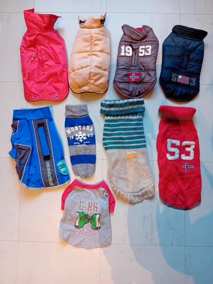 Pour petits chiens, l'ensemble:, Dieren en Toebehoren, Hondenkleding, Zo goed als nieuw, Ophalen