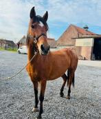 Ponette, Enlèvement ou Envoi