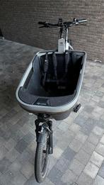 Bakfiets lovens Explorer 65 500Wh Gripshift Black, Fietsen en Brommers, Elektrisch, Zo goed als nieuw, 2 kinderen, Ophalen
