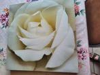Schilderij - bloem, Ophalen, Gebruikt, Schilderij