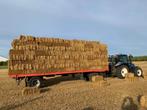 Kleine pakken tarwestro oogst 2025, Zakelijke goederen, Landbouw | Veevoer, Ophalen