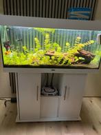 Aquarium, Dieren en Toebehoren, Ophalen, Gebruikt, Gevuld zoetwateraquarium