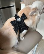 Harnais de Susan Lanci, Animaux & Accessoires, Colliers & Médailles pour chiens, Enlèvement ou Envoi, Comme neuf