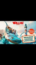 Un ticket walibi