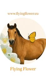 Horse Care - verzorgingsproducten paard & pony, Dieren en Toebehoren, Ophalen of Verzenden