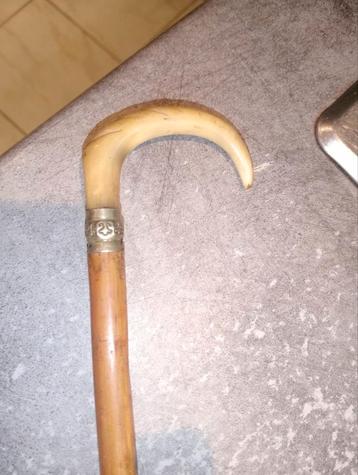 Hoornstok van 88,5 cm beschikbaar voor biedingen