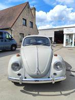 Vw beetle 1200 année 1967 carrosserie restaurée + garantie, Autos, Achat, Beige, Entreprise, Boîte manuelle