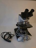 Microscope optique Leica binoculaire, Enlèvement