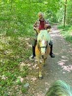 Paardrijden langs de Semois, Dieren en Toebehoren, Ophalen, Nieuw, Recreatie