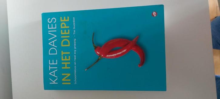 Kate Davies - In het diepe, Boeken, Literatuur, Zo goed als nieuw, Ophalen of Verzenden