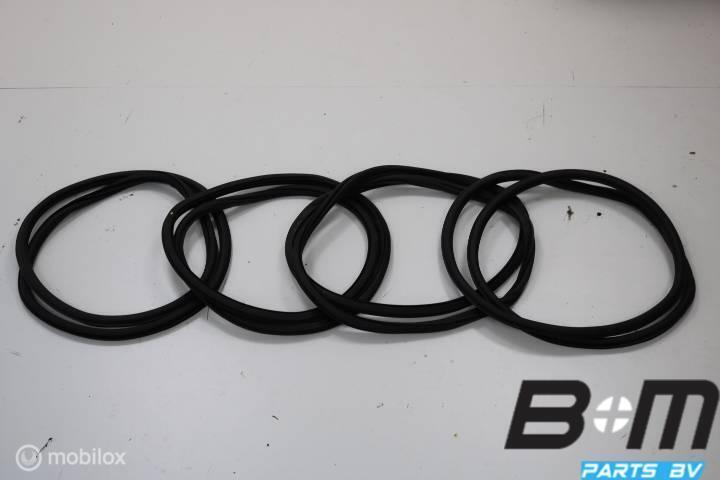 Set portierrubbers carrosseriezijde VW T-Roc, Auto-onderdelen, Interieur en Bekleding, Gebruikt