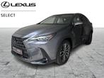 Lexus NX 350h LUXURY LINE 2.5 HYB CVT, Automaat, 109 g/km, Overige brandstoffen, 2498 cc