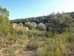Finca in Fabara (Aragon, Spanje) - 0867, Immo, Buitenland, 20500 m², Kavel of Perceel, Spanje, Landelijk