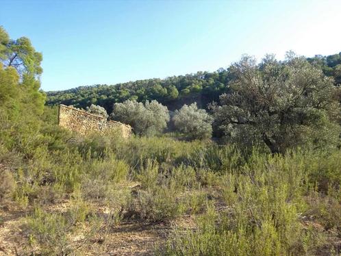 Finca à Fabara (Aragon, Espagne) - 0867, Immo, Étranger, Espagne, Terrain ou Parcelle, Campagne