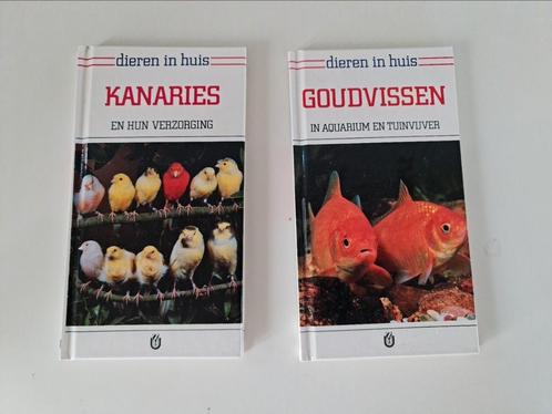 Boeken : dieren in huis : kanaries / goudvissen, Boeken, Dieren en Huisdieren, Zo goed als nieuw, Ophalen of Verzenden