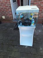 Aqariums, Dieren en Toebehoren, Ophalen of Verzenden