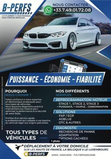 reprogrammation moteur, suppression adblue fap egr beschikbaar voor biedingen