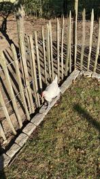 Haan poule de bresse, Dieren en Toebehoren, Pluimvee