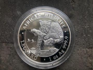 2020 Somalia - Leopard - 1 oz silver beschikbaar voor biedingen