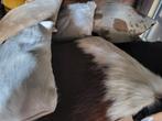 6 Sierkussens  40cm40cm, Huis en Inrichting, Woonaccessoires | Kussens, Ophalen