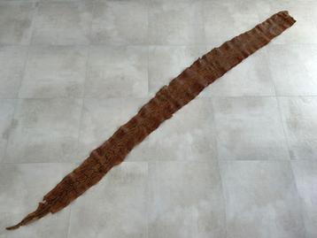 Slangenhuid - slangenvel - pythonvel - 3,40 meter beschikbaar voor biedingen