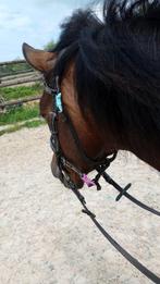 Leuke C pony allround, Dieren en Toebehoren, Pony's, Merrie, B, C pony (1.27m tot 1.37m), Recreatiepony
