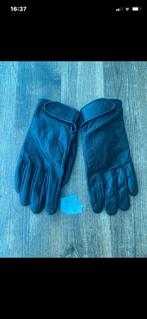 Lederen handschoenen, Motoren, Kleding | Motorkleding, Ophalen of Verzenden, Nieuw zonder kaartje, Dames, Handschoenen