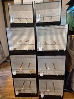 Universele TT kooien €8,- p/st en transporthoezen €4,- p/st, Enlèvement, Comme neuf, Bois, Cage à oiseaux